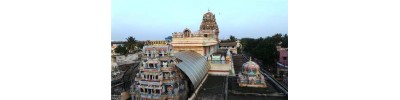 நங்கநல்லூர் (சென்னை)